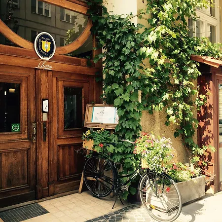 Chopin Boutique-3